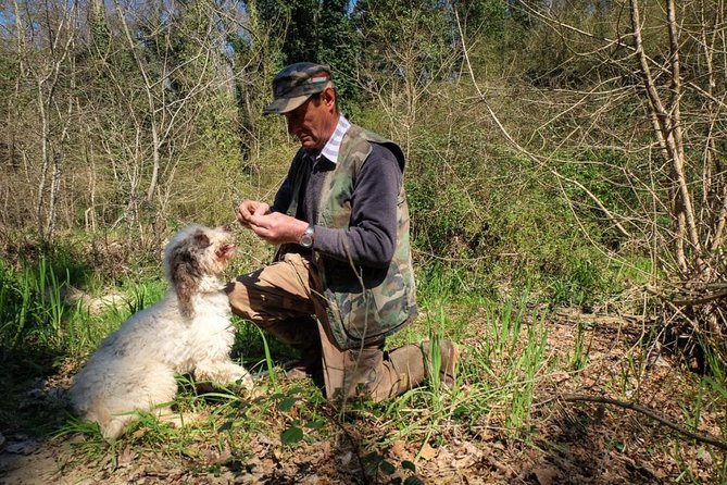 Truffle Hunting With Wine Tasting in Chianti - Overview
