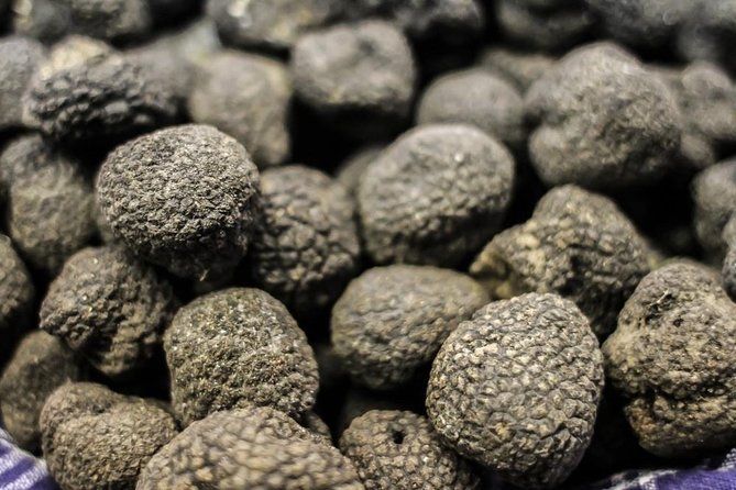 Truffle Hunting With Wine Tasting in Chianti - Directions