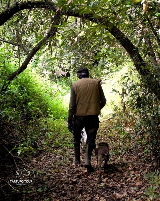 Truffle Tour Experience: caccia tartufo e degustazione - Exploring the Itinerary: What to Expect