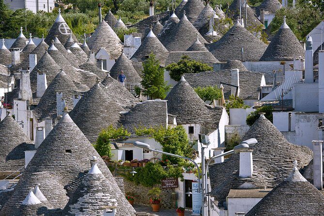 Trulli of Alberobello Day-Trip from Monopoli and Polignano - The Journey Begins: What to Expect