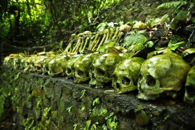 Trunyan Cemetery, Hot Spring, Penglipuran Village Tour - Tibumana Waterfall
