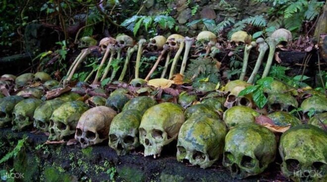 Trunyan Cemetery, Hot Spring, Penglipuran Village Tour - Tour Details and Itinerary