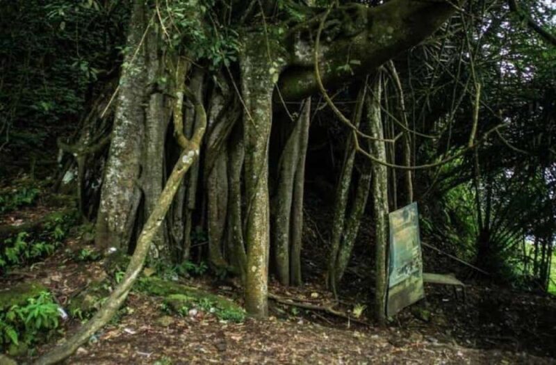 Trunyan Cemetery Tour with Boat Ride and Guide - The Itinerary in Detail