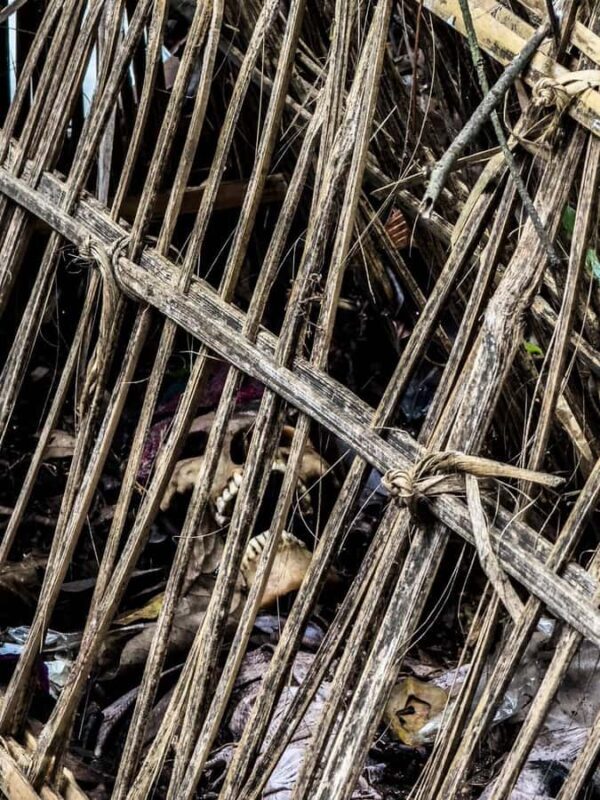 Trunyan Cemetery Tour with Boat Ride and Guide - Final Thoughts