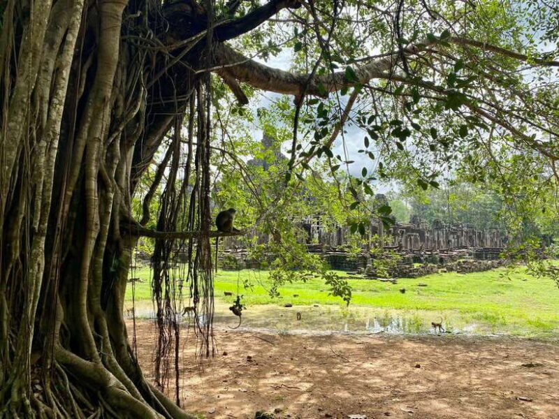 Trusty Tuk Tuk - Why Trusty Tuk Tuk is Worth Considering