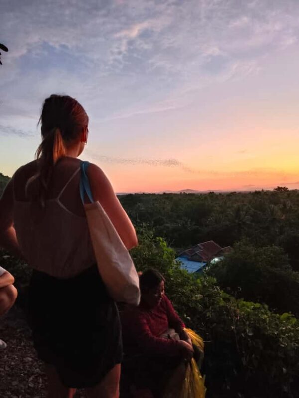 Trusty tuktuk tour/Bambootrain/countryside/killing &bat cave - Final Thoughts: Who Will Love This Tour?