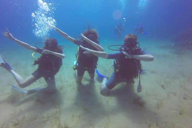 Try a DIVE, Discover Scuba Diving in Mykonos - Cancellation Policy