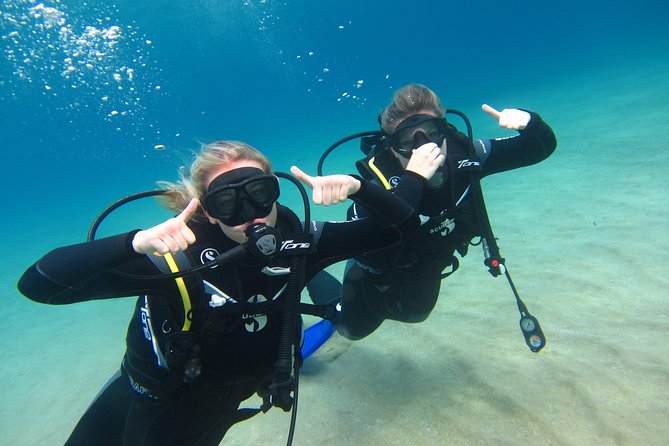 Try a DIVE, Discover Scuba Diving in Mykonos - Reviews and Traveler Photos