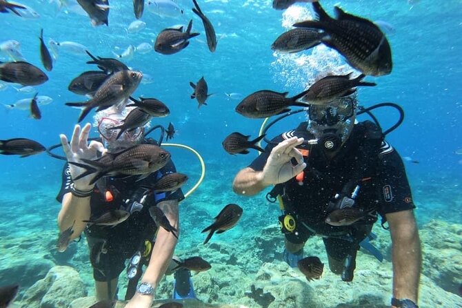 Try a Scuba Diving Experience - Meeting and Pickup