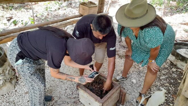 Try: Ancient Mayan Temples, Mayan Wildlife, Tacos, Cenote! - Important Information