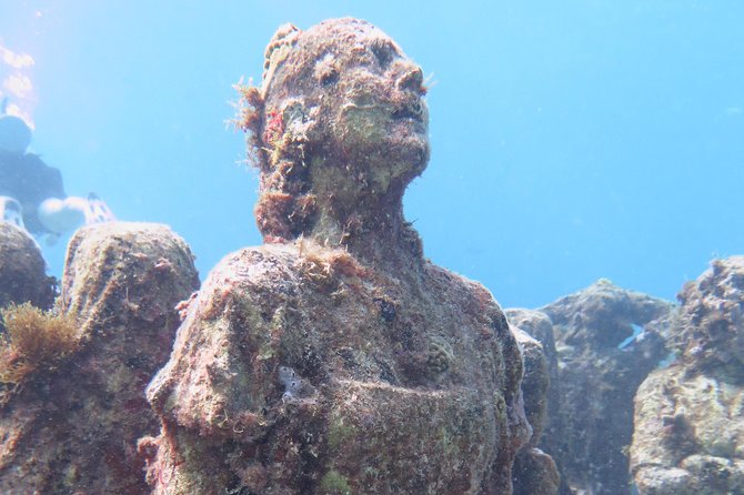 Try Dive in Cancun Underwater Museum - Overview and Experience Details