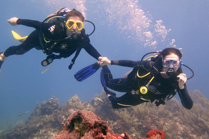 Try Dive in Cancun Underwater Museum - Reviews