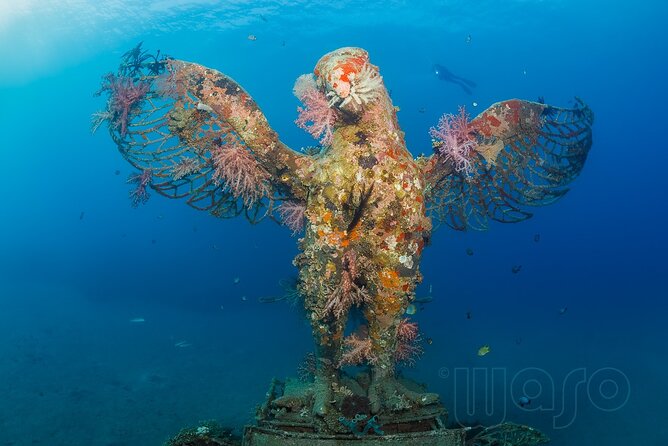 Try Dive Program in the Biorock Pemuteran - Good To Know