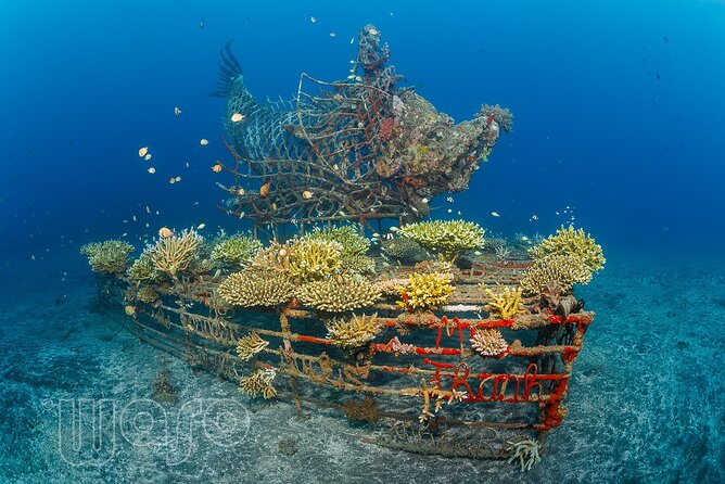 Try Dive Program in the Biorock Pemuteran - Equipment and Inclusions