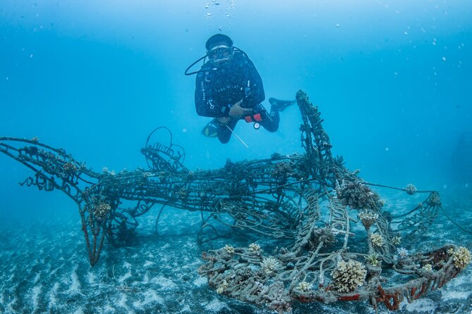 Try Dive Program in the Biorock Pemuteran - The Sum Up