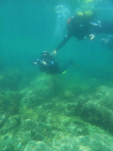 Try Dive - the Best Scubadiving Experience at Sesimbra - Booking Details