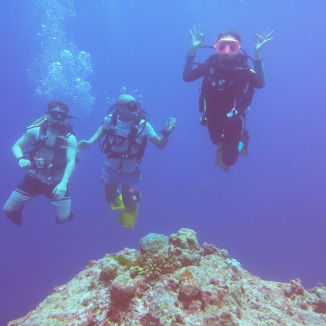Try Dive - the Best Scubadiving Experience at Sesimbra - Experience Highlights
