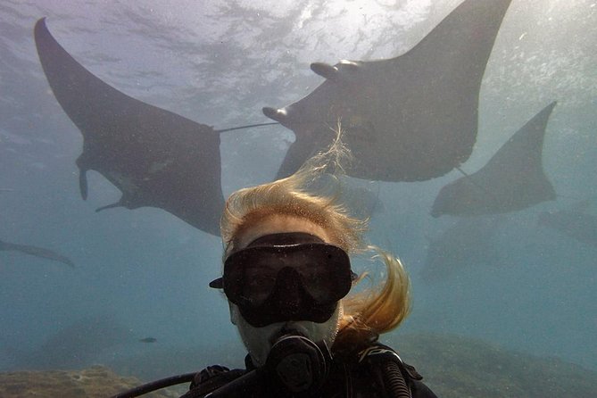 Try Dive With Manta Rays in Bali - Dive Center Requirements and Booking Details