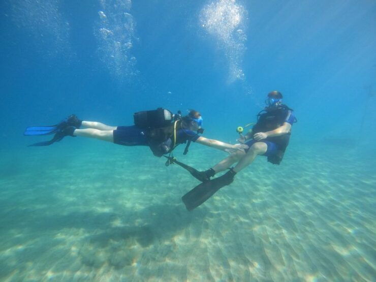Try Dive With Scuba Point in Los Critianos - Inclusions