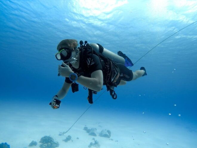 Try Dive With Scuba Point in Los Critianos - Meeting Point