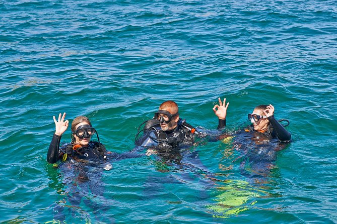 Try Dives - Discover Scuba Diving in Albufeira - Good To Know