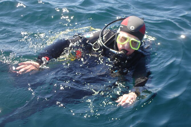 Try Dives - Discover Scuba Diving in Albufeira - Equipment and Inclusions
