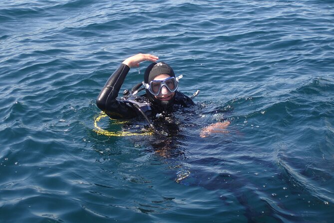 Try Dives - Discover Scuba Diving in Albufeira - Booking and Confirmation