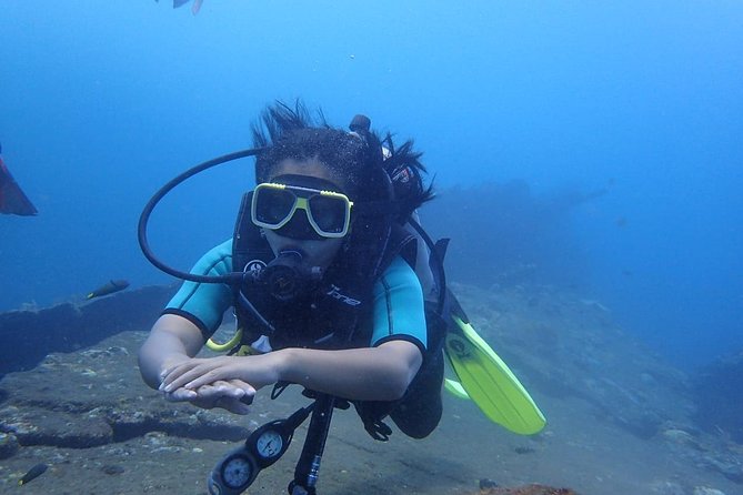 Try Diving at USAT Liberty Wreck Tulamben With 1 or 2 Dives (Stay in Tulamben) - Booking Details