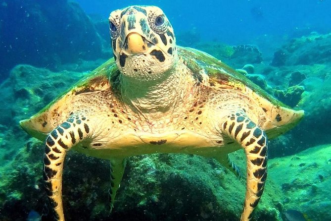 Try Diving in the Beautiful Andaman Sea - Additional Information