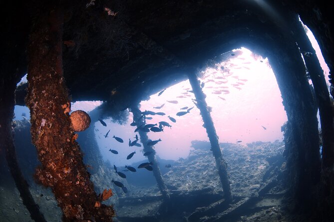 Try Diving in Tulamben - Shipwreck - Pricing and Booking