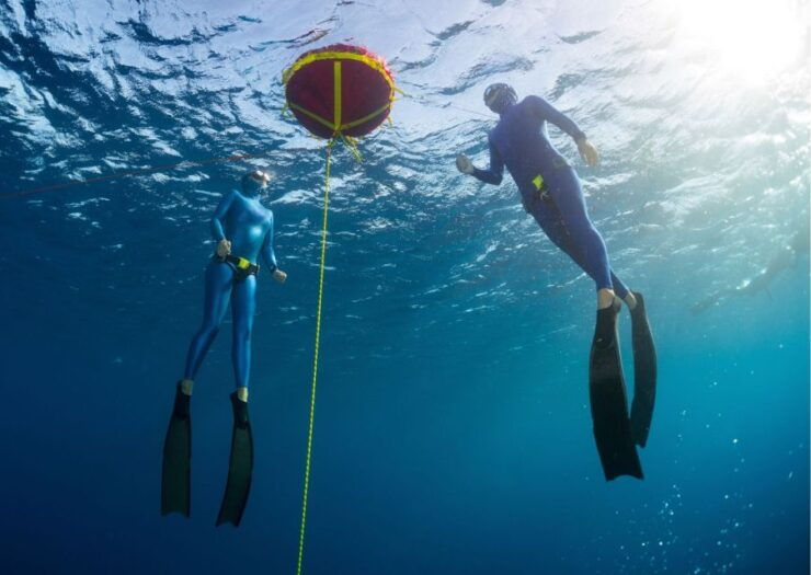 Try Freediving Experience in Arrábida Marine Reserve - Booking and Logistics
