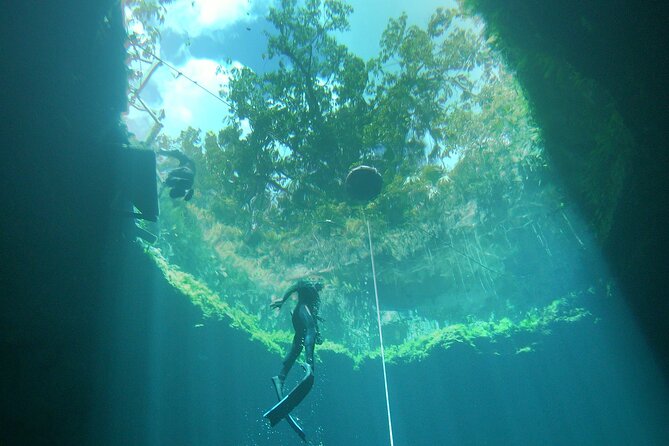 Try Freediving in a Cenote Nearby Cancun (Private Group) - Reviews