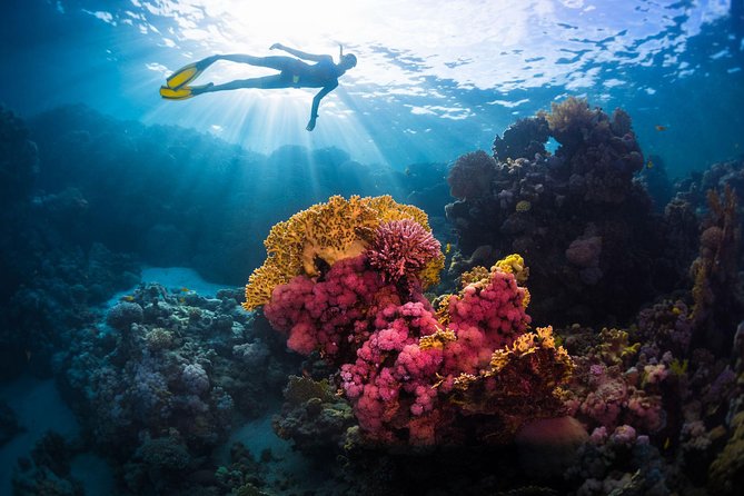Try Freediving on Nusa Penida - Overview of Freediving on Nusa Penida