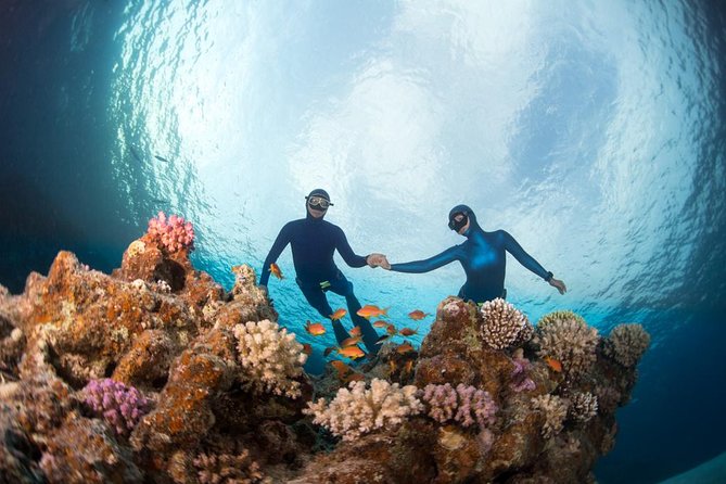 Try Freediving on Nusa Penida - Benefits of Freediving in a Zen-like Environment