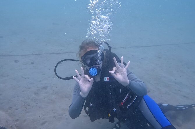 Try Scuba Dive in Qatar - Price and Booking Details