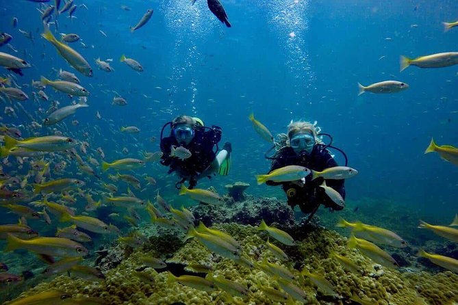 Try Scuba Diving - Additional Info