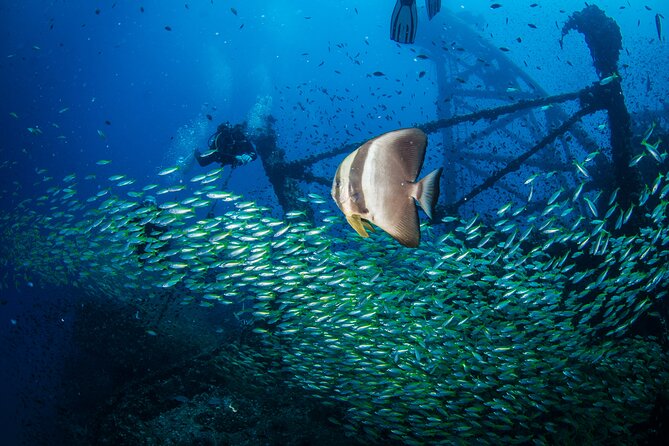 Try Scuba Diving 2 Dives Bang Bao - The Sum Up