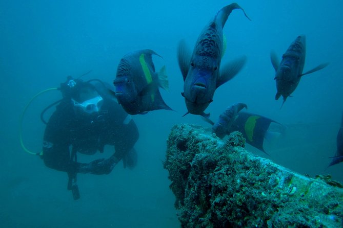Try SCUBA Diving - Accessibility and Additional Information