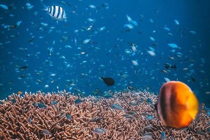 Try Scuba Diving - Scuba Diving Equipment