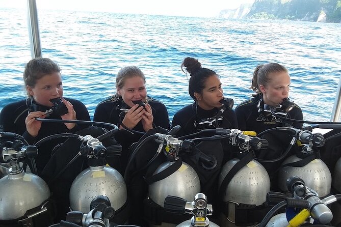 Try Scuba Diving for Beginners With Manta Rays - Scuba Diving Basics