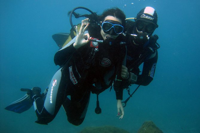 Try Scuba Diving in a Turtle Area (Boat) - Benefits of Scuba Diving in a Turtle Area
