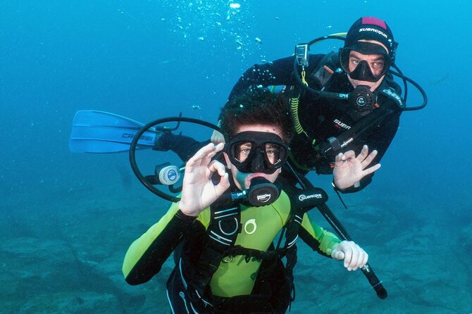 Try Scuba Diving in a Turtle Area (Boat) - Discovering Underwater Wildlife in Secluded Locations
