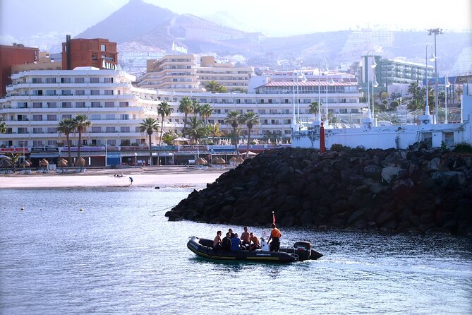 Try Scuba Diving in a Turtle Area (Boat) - Rave Reviews From Satisfied Divers