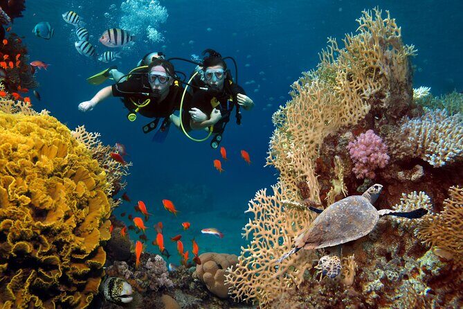 Try Scuba Diving in Racha Yai and Noi for Non-Certified - Good To Know