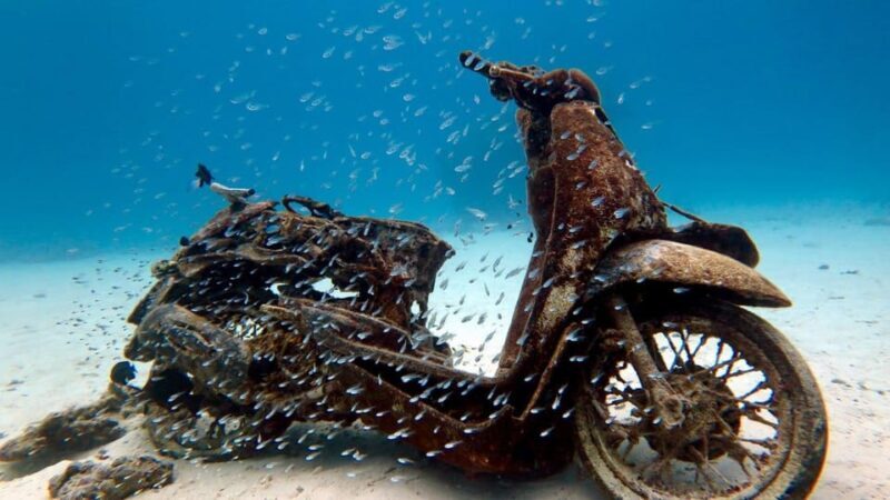 Try Scuba Diving in Racha Yai/noi: 3 Dives for Non-Certified - The Sum Up: The Best Introductory Dive Experience in Phuket