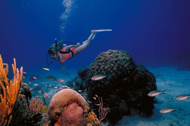 Try Scuba Diving in Racha Yai/noi: 3 Dives for Non-Certified - Good To Know