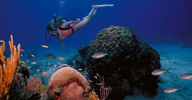 Try Scuba Diving in Racha Yai/noi: 3 Dives for Non-Certified - Dive Experience and Safety