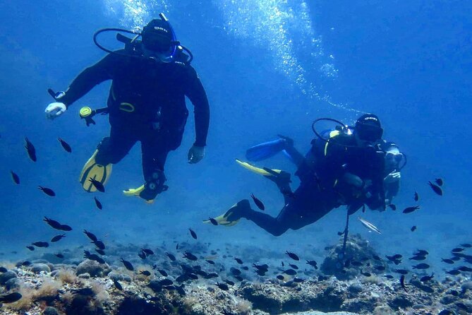 Try Scuba Diving in Split - Additional Info