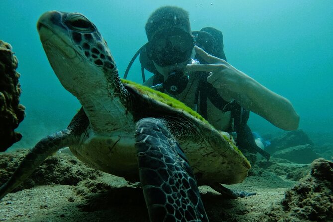 Try Scuba Diving & Snorkeling With BBQ Lunch in Fujairah - The Sum Up