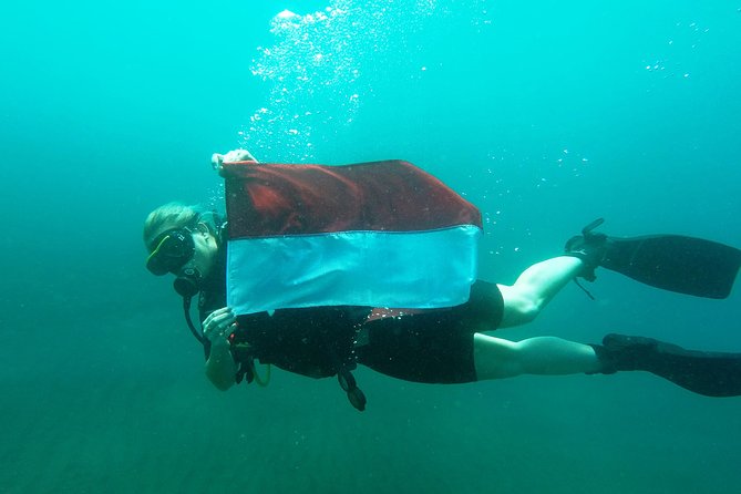 Try Scuba DIVING With BALI DIVING at TULAMBEN - Overview and Inclusions